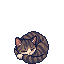 Um gato listrado em pixel art dormindo enrolado